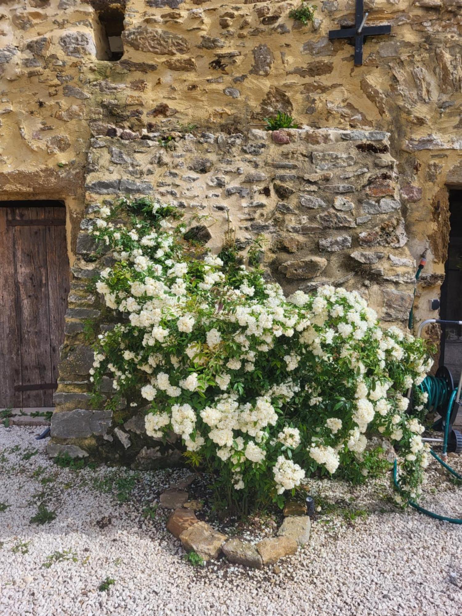 Bastide De La Madeleine Bed & Breakfast Pougnadoresse Bagian luar foto